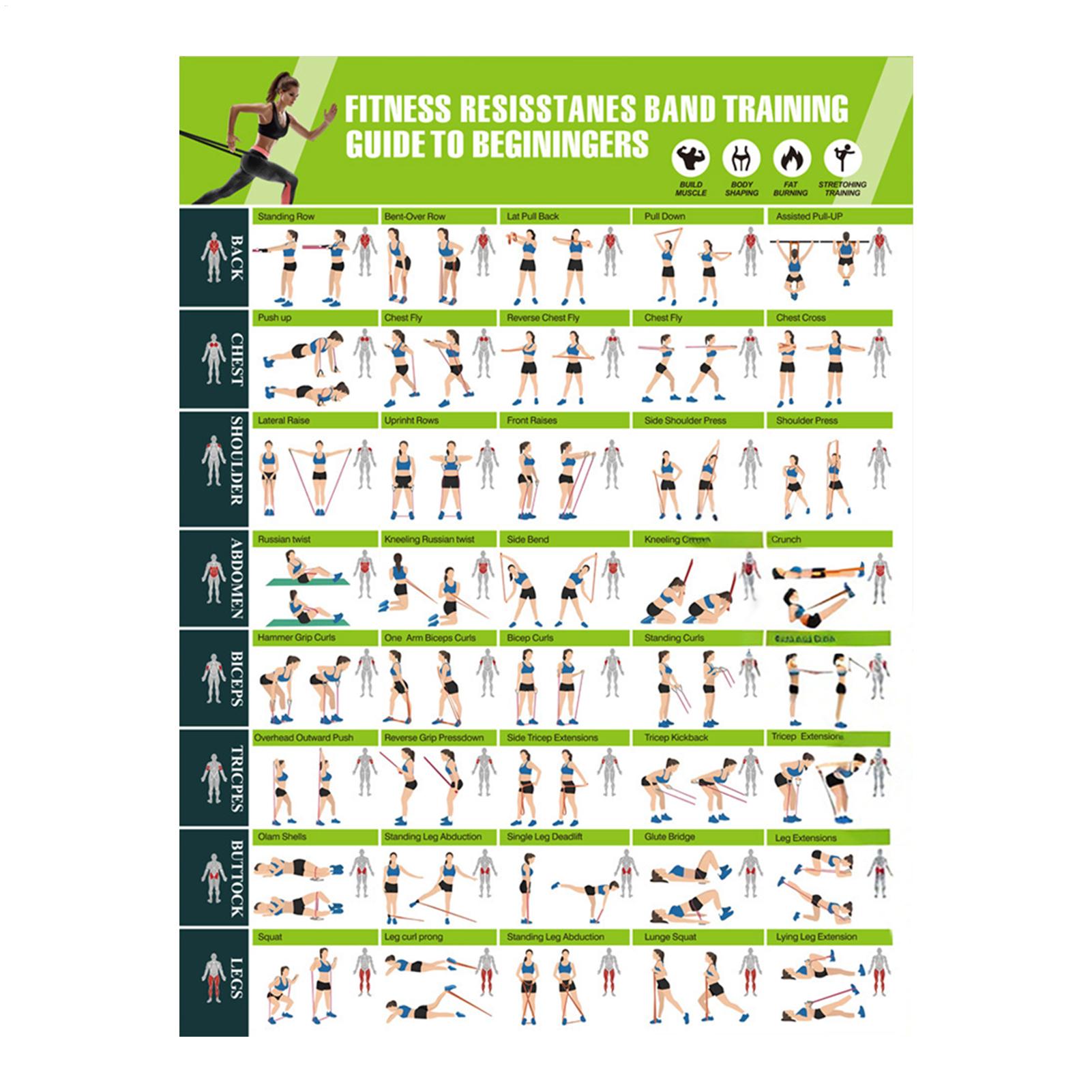 แผนภูมิการออกกำลังกาย แผนภูมิท - Yoga Fitness Wallpaper บทวิจารณ์และราคา